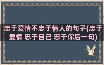 忠于爱情不忠于情人的句子(忠于爱情 忠于自己 忠于你后一句)